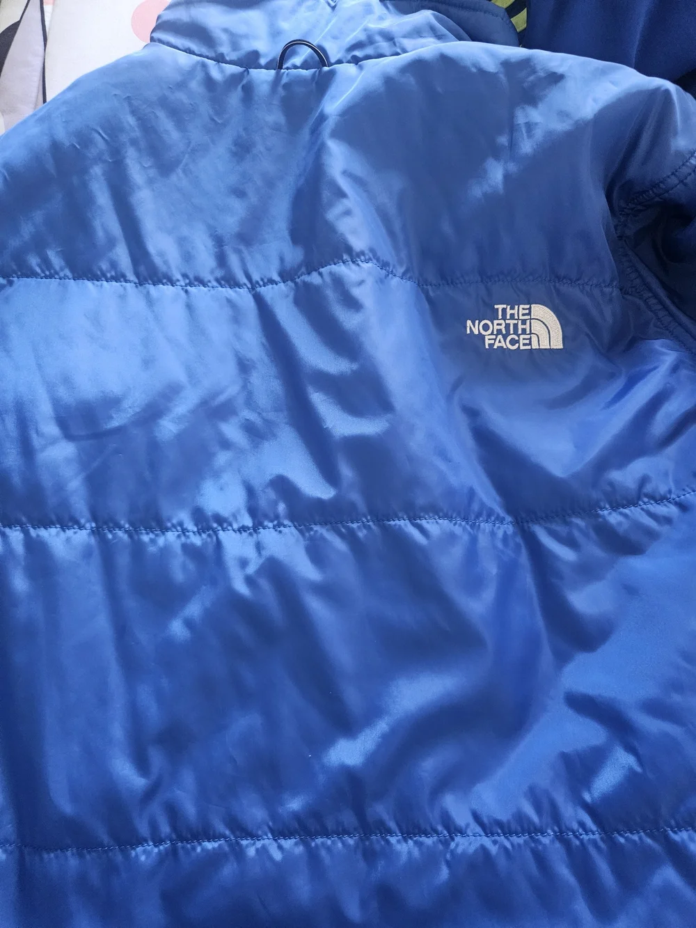 The North Face Men's Blue Puffer Jacket